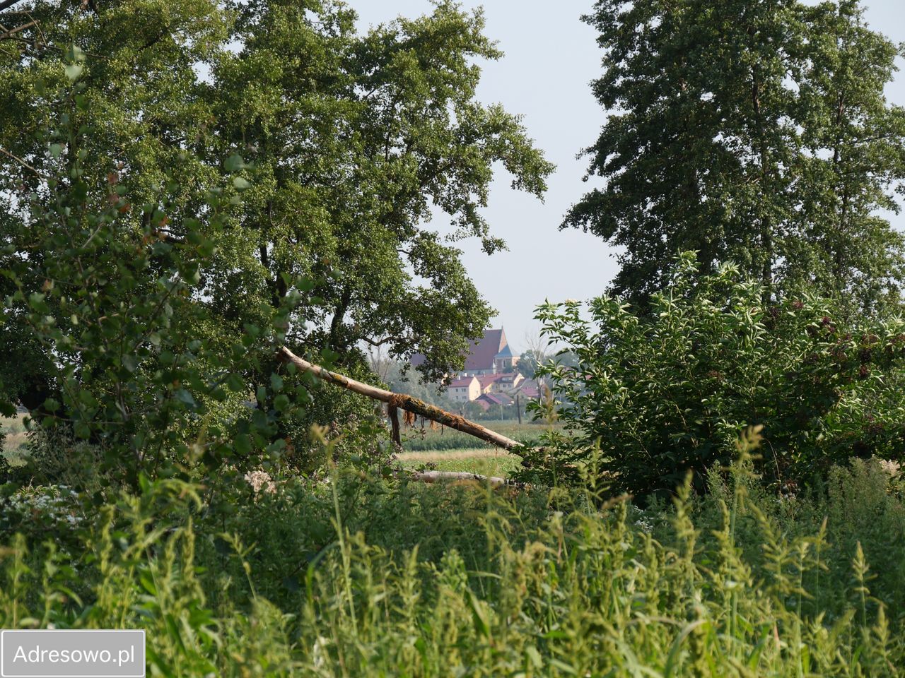 Działka rolno-budowlana Sielec. Zdjęcie 2