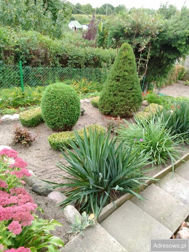 Działka rod Iława. Zdjęcie 9