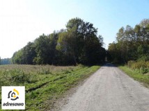 Działka leśna Nowy Prażmów, ul. Leśna. Zdjęcie 2