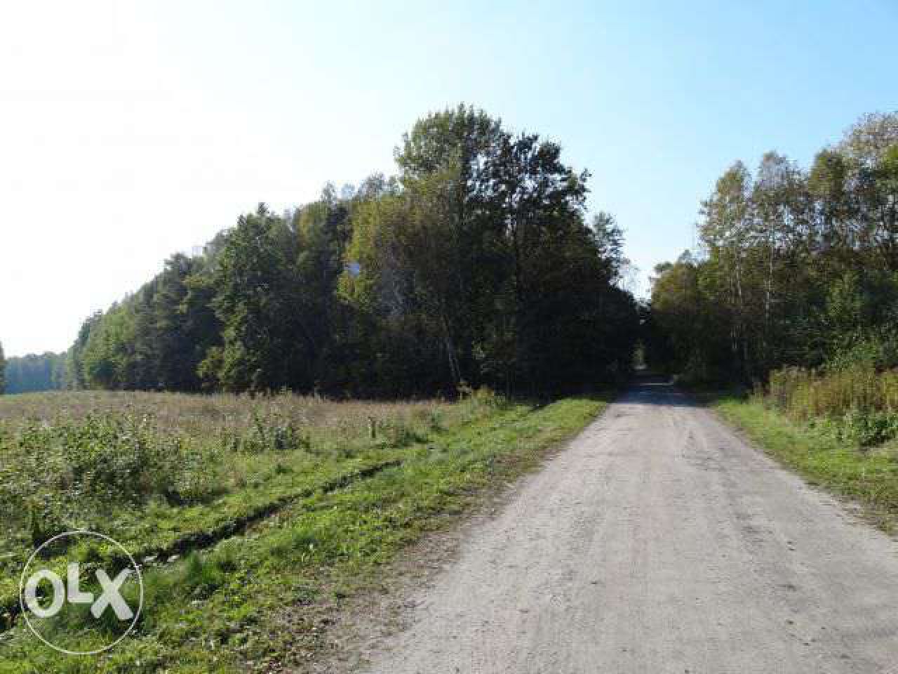 Działka leśna Nowy Prażmów, ul. Leśna. Zdjęcie 3