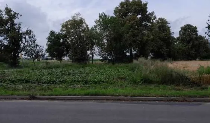 Działka inwestycyjna Kleszczewo