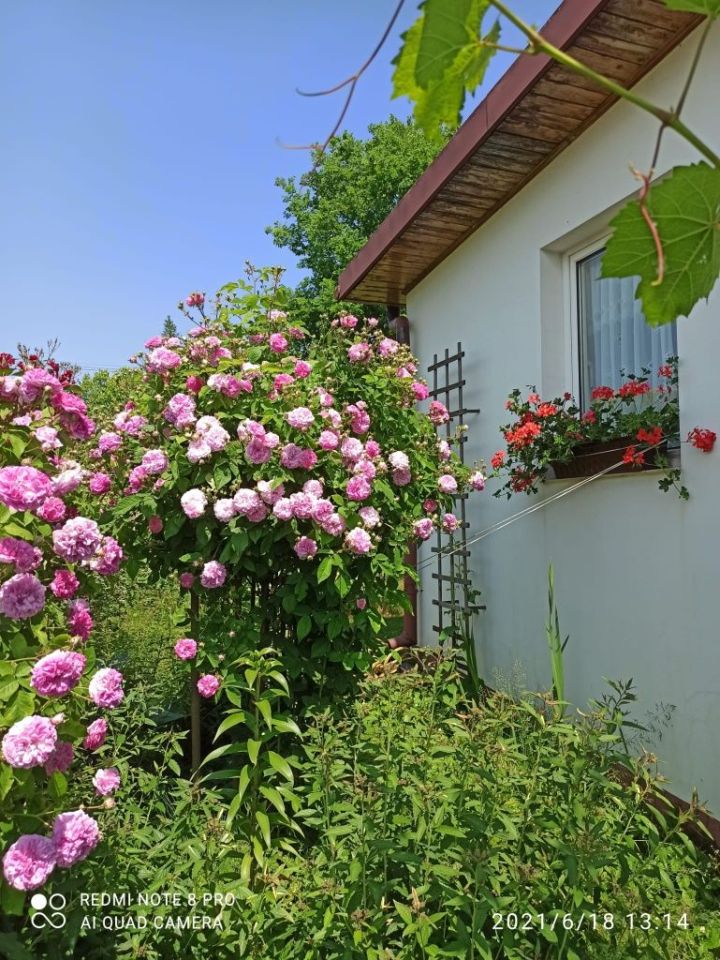 Działka rod Bielsko-Biała, ul. Kolonia. Zdjęcie 8