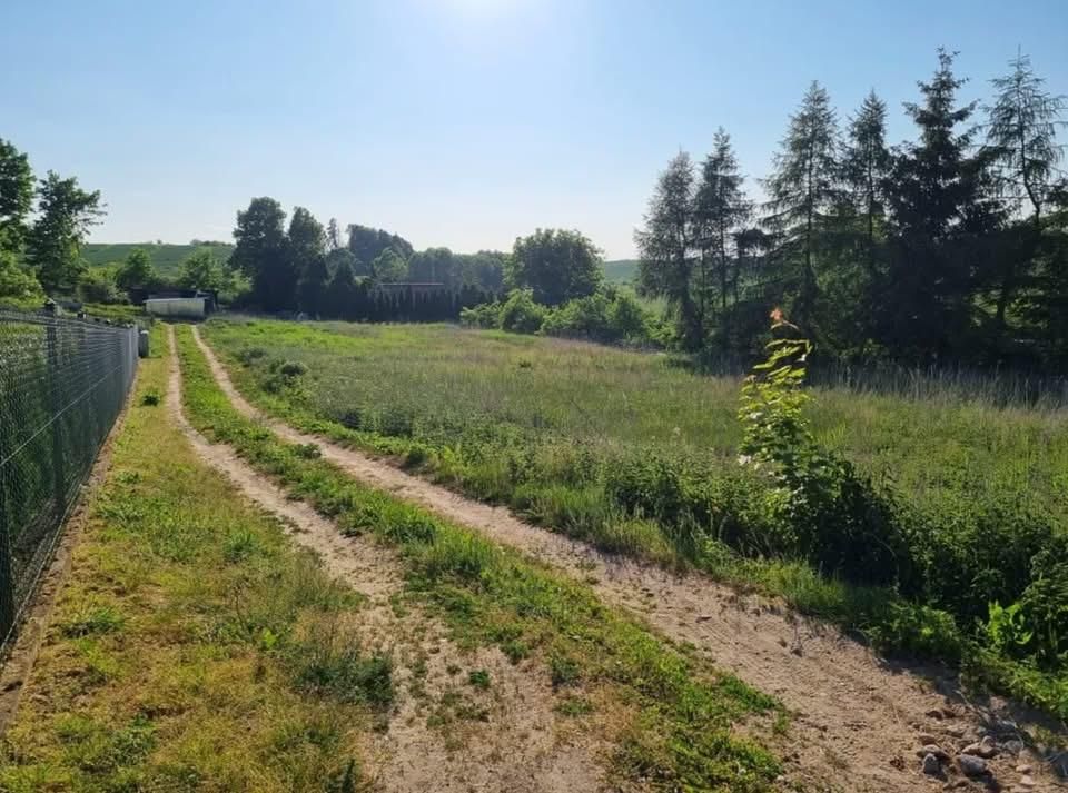 Działka rolno-budowlana Sapuny, Sapuny. Zdjęcie 3