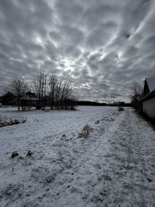 Działka rolno-budowlana Sieczka. Zdjęcie 8
