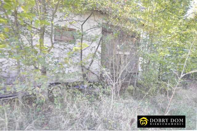 bliźniak, 2 pokoje Topiło. Zdjęcie 14