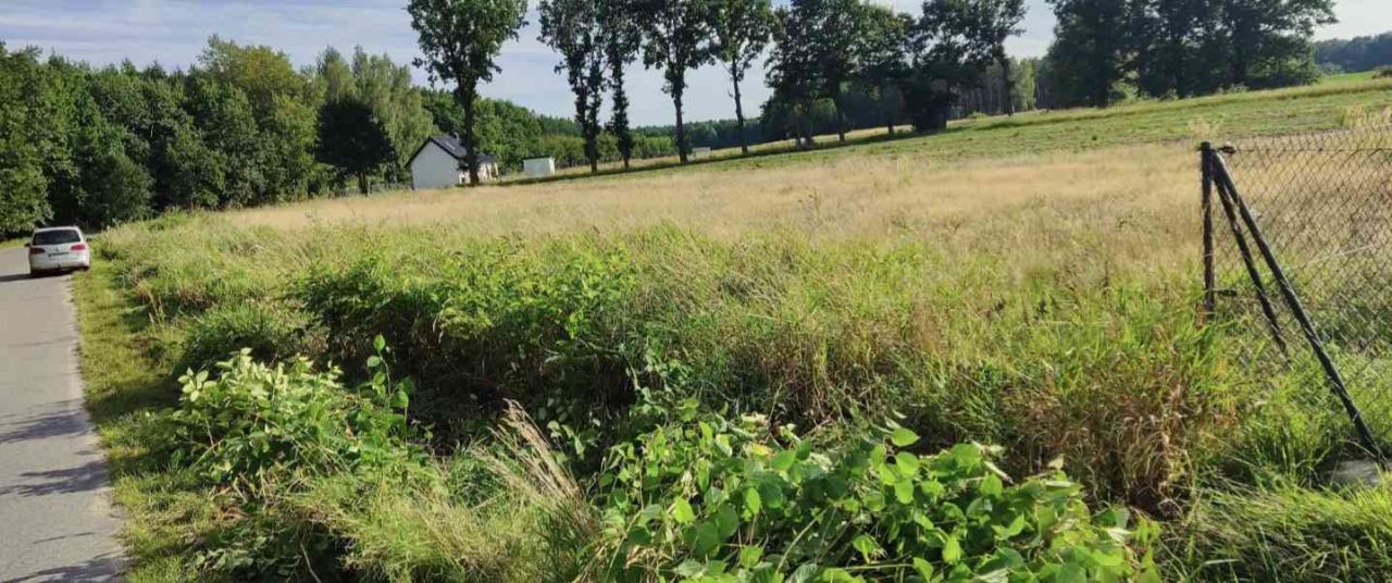 Działka budowlana Trzebieradz. Zdjęcie 16