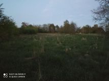 Działka rolna Skotniki. Zdjęcie 1