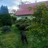 dom wolnostojący, 3 pokoje Proszowa. Zdjęcie 3