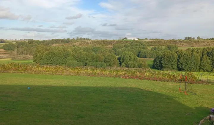 dom wolnostojący, 4 pokoje Węgiersk