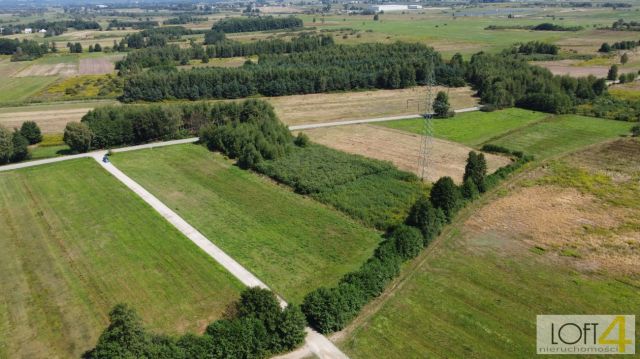 Działka budowlana Rajsko. Zdjęcie 13