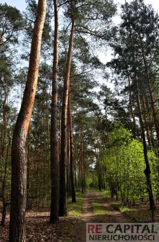 Działka Zielonki-Wieś. Zdjęcie 12