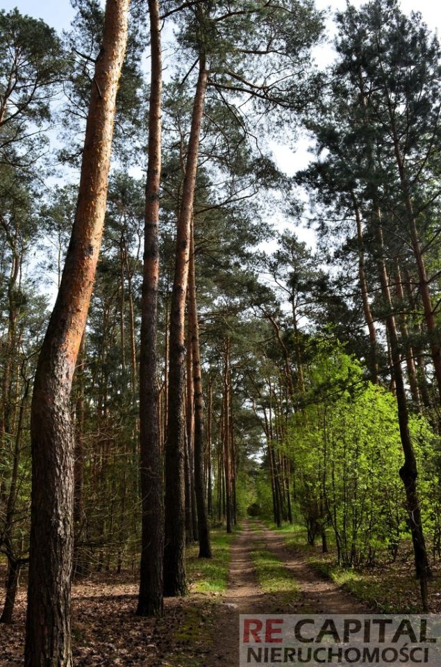 Działka Zielonki-Wieś. Zdjęcie 12