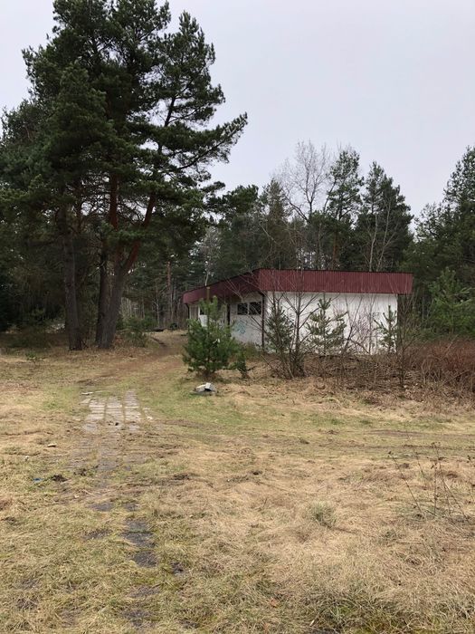 Działka inwestycyjna Majdan Sopocki Drugi. Zdjęcie 1