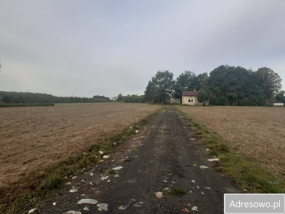 Działka rolna Biała Wieś. Zdjęcie 4