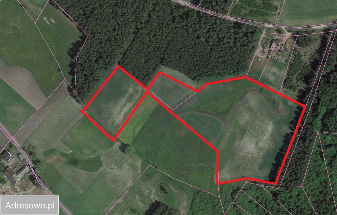 Działka rolna Koteże. Zdjęcie 3