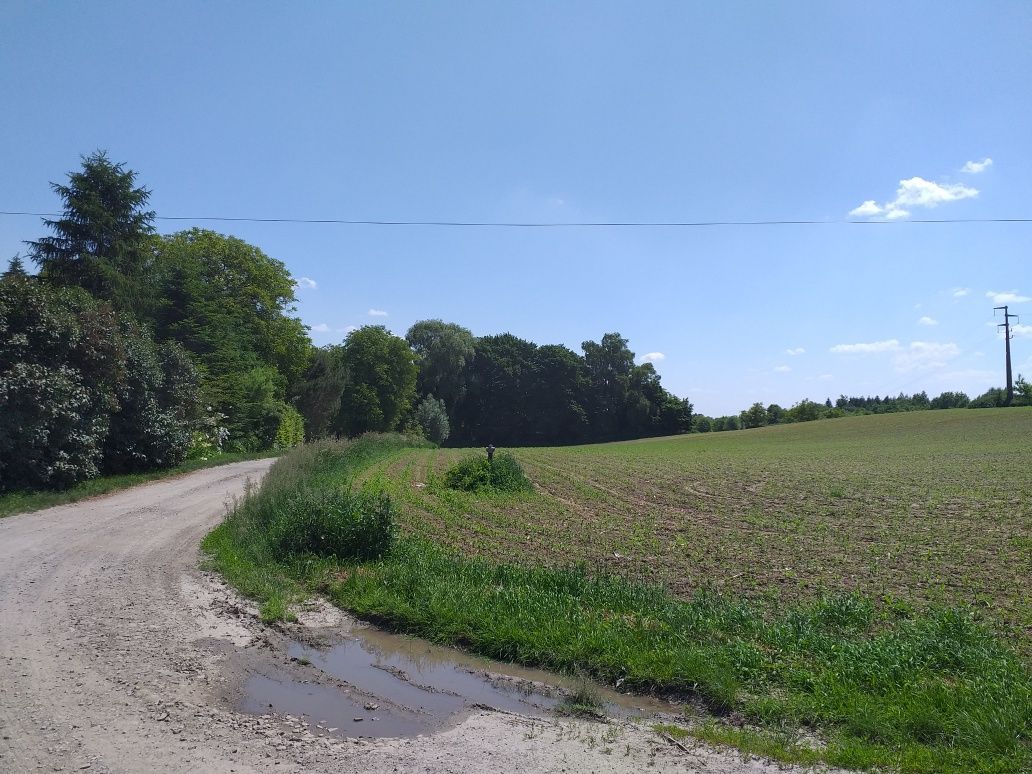 Działka budowlana Wierzbna Wandówka. Zdjęcie 7