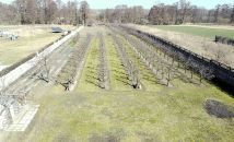 Działka rolno-budowlana Mokra. Zdjęcie 1