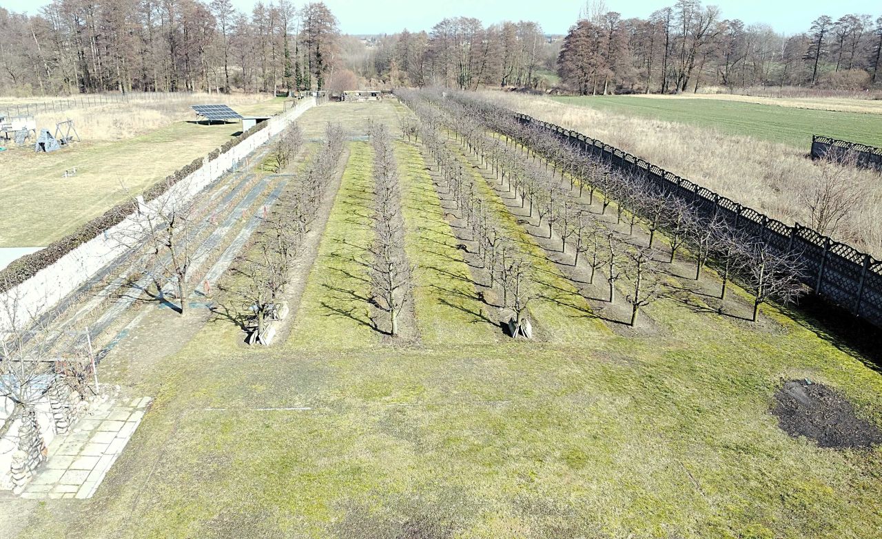 Działka rolno-budowlana Mokra. Zdjęcie 2