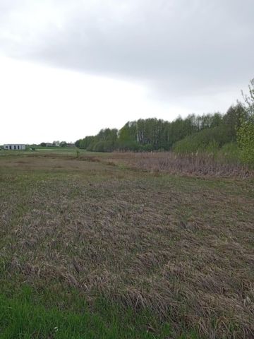 Działka rolna Woźniki. Zdjęcie 1