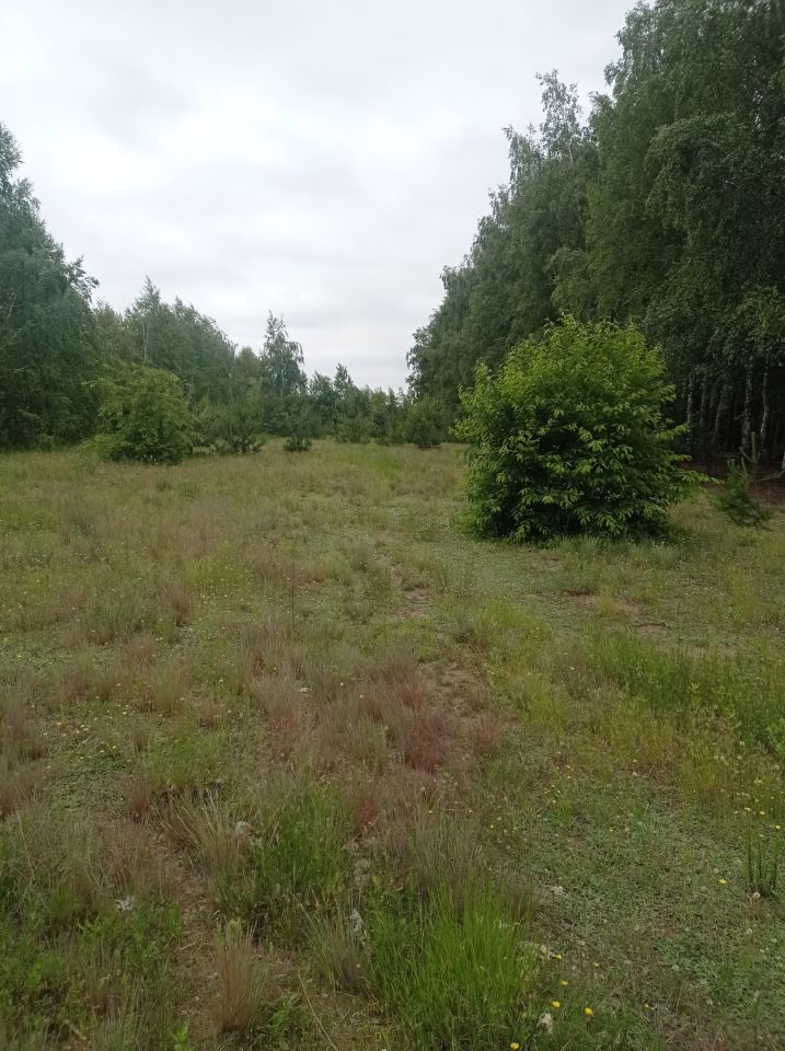 Działka inna Karolew. Zdjęcie 8