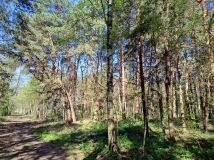 Działka siedliskowa Długie Grodzieckie Nad Jeziorem. Zdjęcie 4