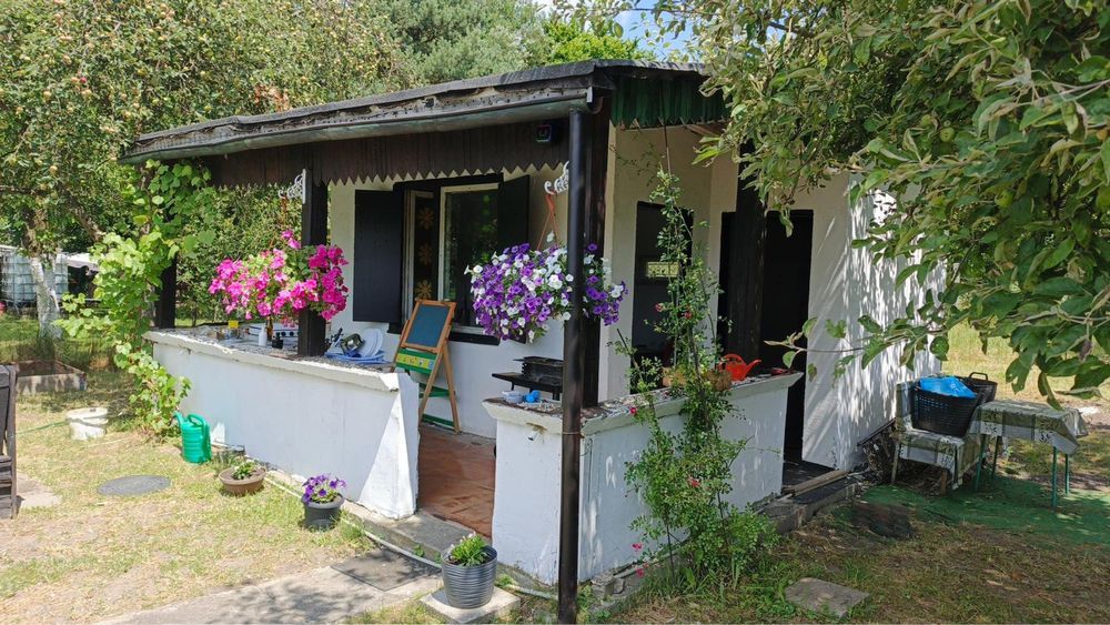 Działka rod Zabrze. Zdjęcie 1