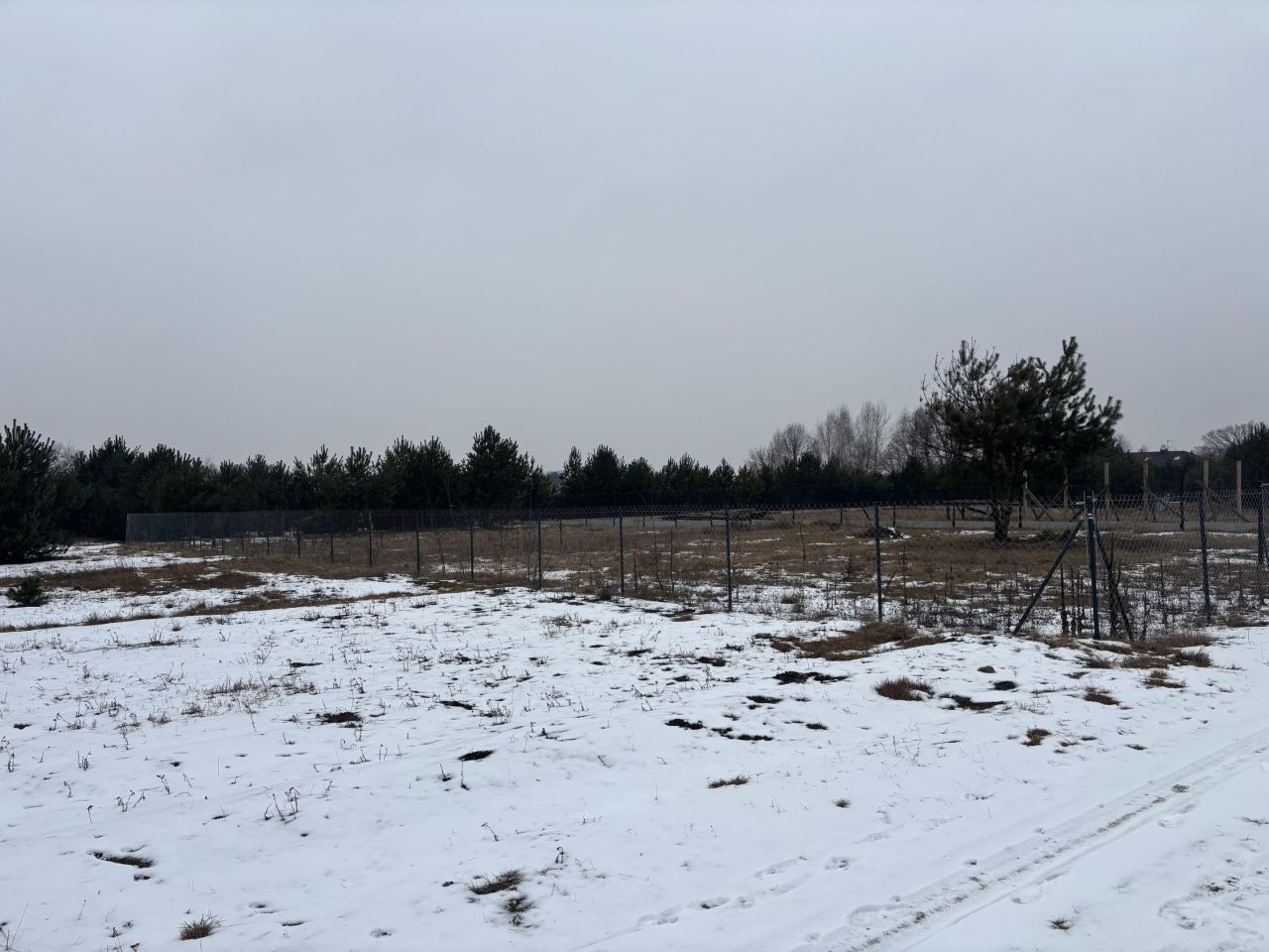 Działka rolna Janowice. Zdjęcie 4