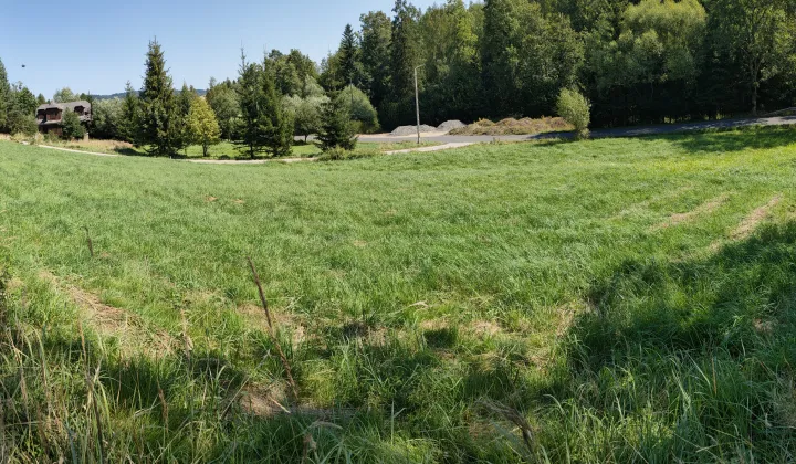 Działka budowlana Kurów Rzepki