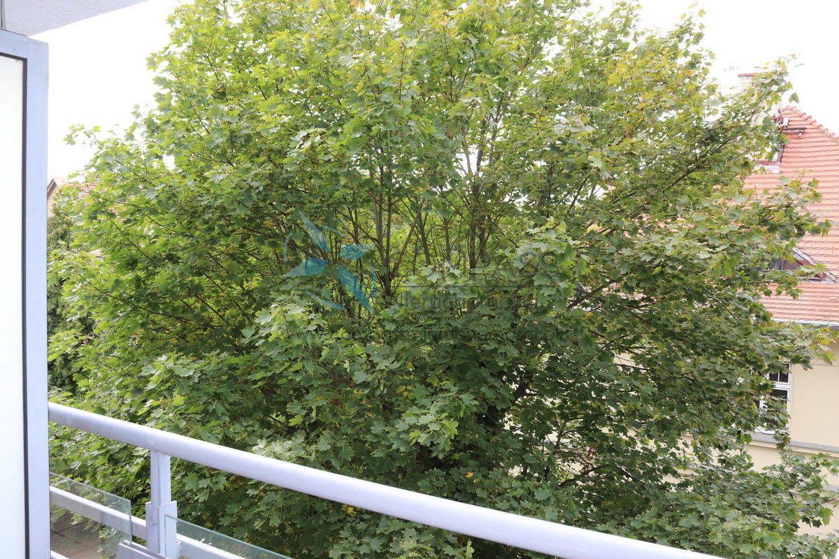 Mieszkanie 1-pokojowe Poznań Grunwald, ul. Grunwaldzka. Zdjęcie 13