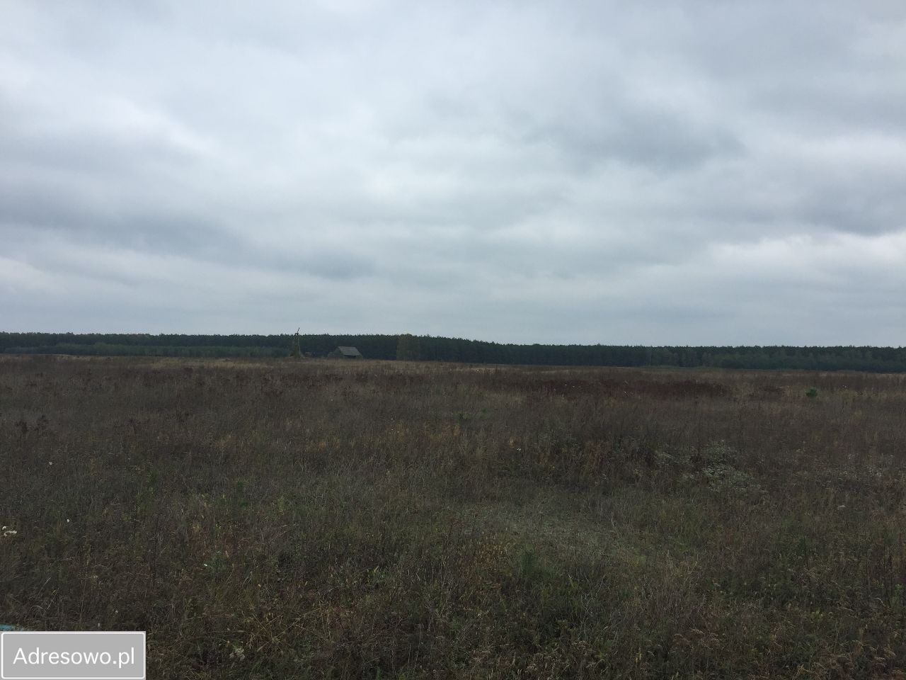 Działka budowlana Łowyń. Zdjęcie 4