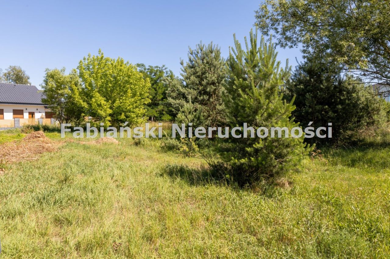 Działka budowlana Skrzynki. Zdjęcie 5