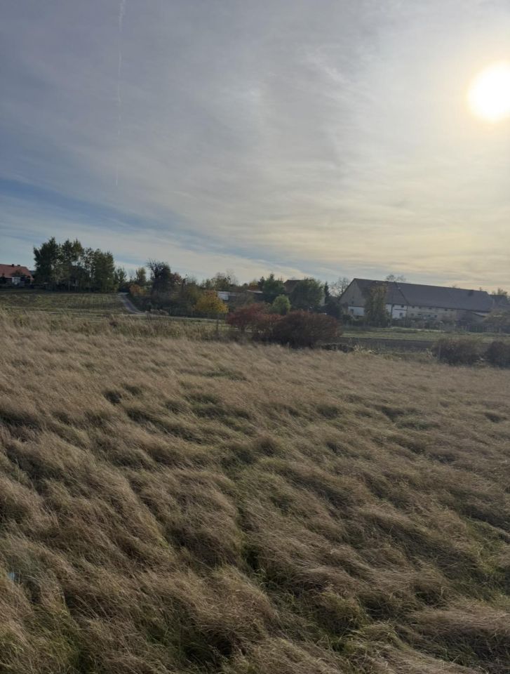 Działka budowlana Ratajno, Plus projekt i fundamenty. Zdjęcie 10