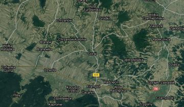 Działka leśna Goraj. Zdjęcie 1