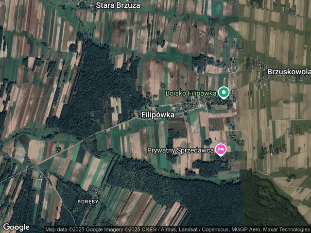 Działka leśna Filipówka. Zdjęcie 1