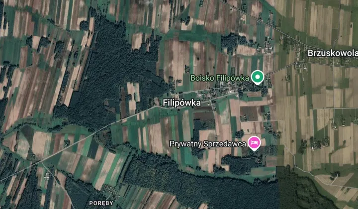 Działka leśna Filipówka