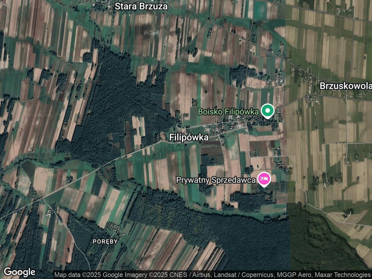 Działka leśna Filipówka