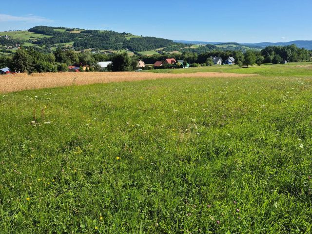 Działka budowlana Grybów Strzylawki. Zdjęcie 1