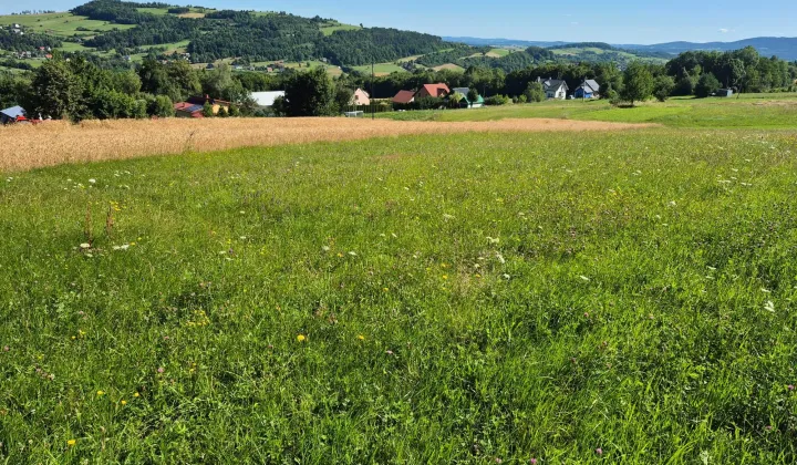 Działka budowlana Grybów Strzylawki