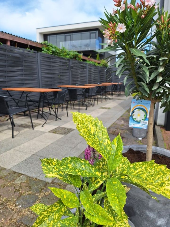 Lokal Swarzędz. Zdjęcie 4