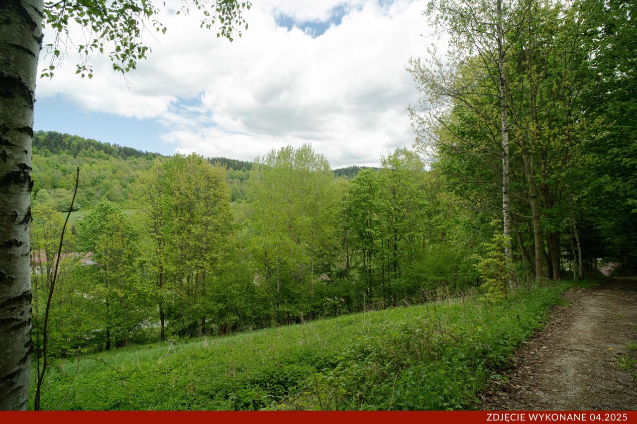 Działka budowlana Konradów. Zdjęcie 8
