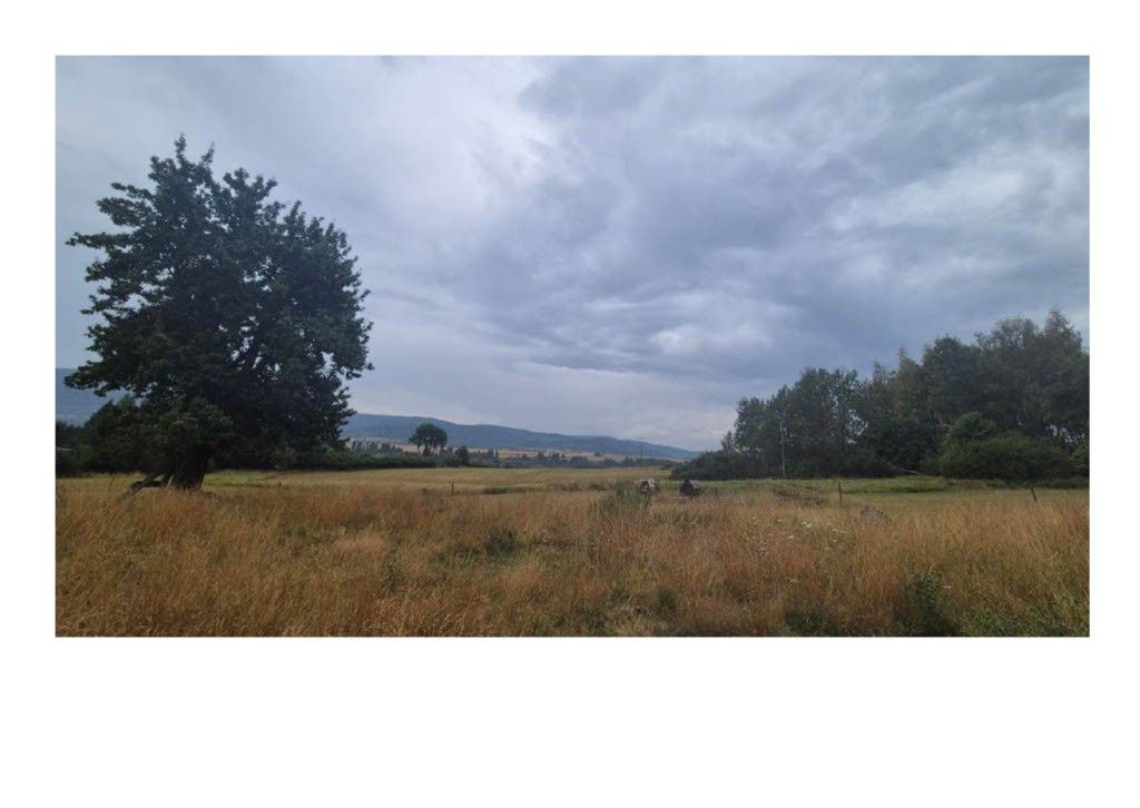 Działka inwestycyjna Szczytna, ul. Batorów. Zdjęcie 12