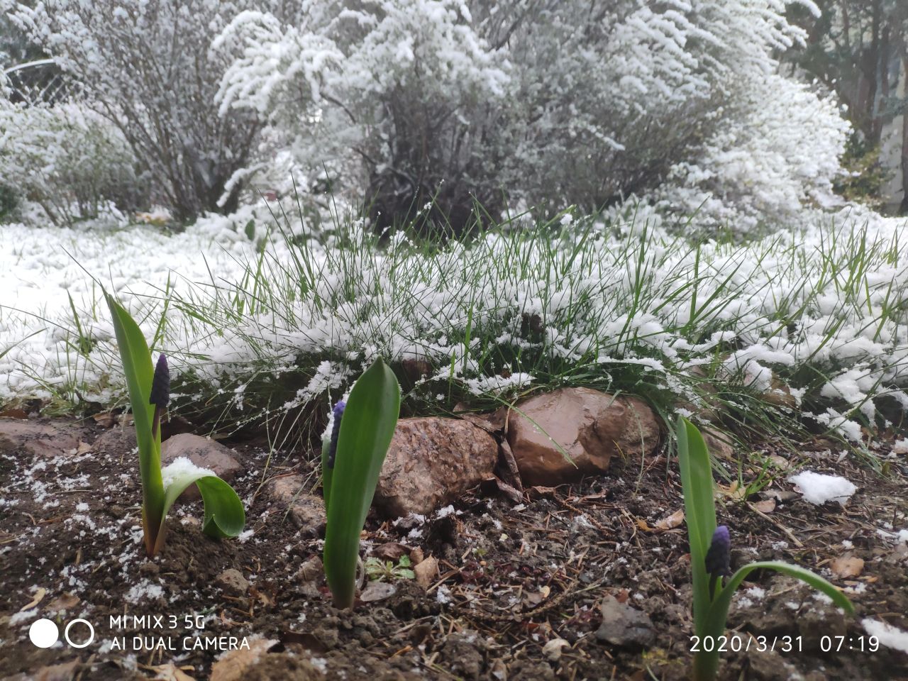 dom wolnostojący, 12 pokoi Radwanice, ul. Konstantego Ildefonsa Gałczyńskiego. Zdjęcie 35