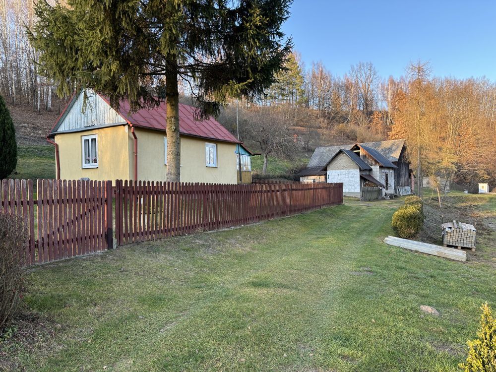 Działka siedliskowa Witoszyn. Zdjęcie 6