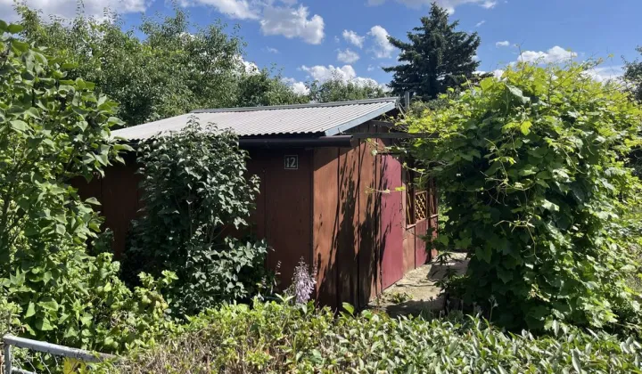 Działka rod Chełm, ul. Żabia