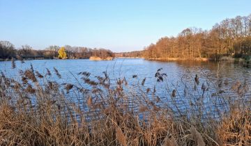 Działka budowlana Boguszyce