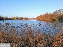 Działka budowlana Boguszyce. Zdjęcie 1