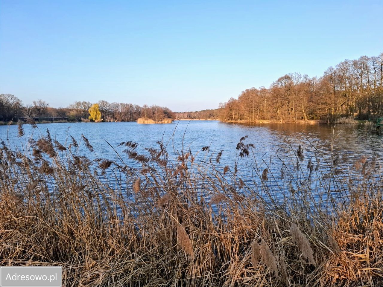 Działka budowlana Boguszyce. Zdjęcie 2