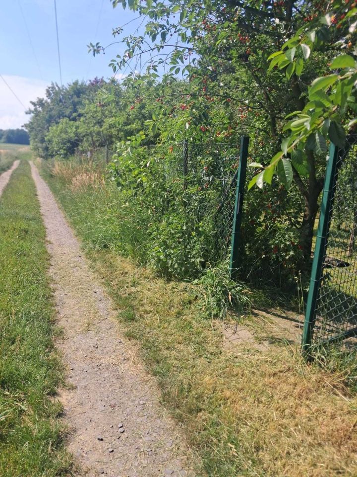 Działka rod Chróścina. Zdjęcie 5