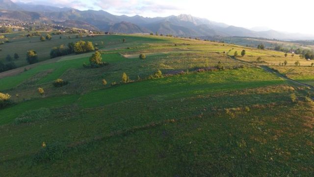 Działka rolna Zakopane Olcza. Zdjęcie 1