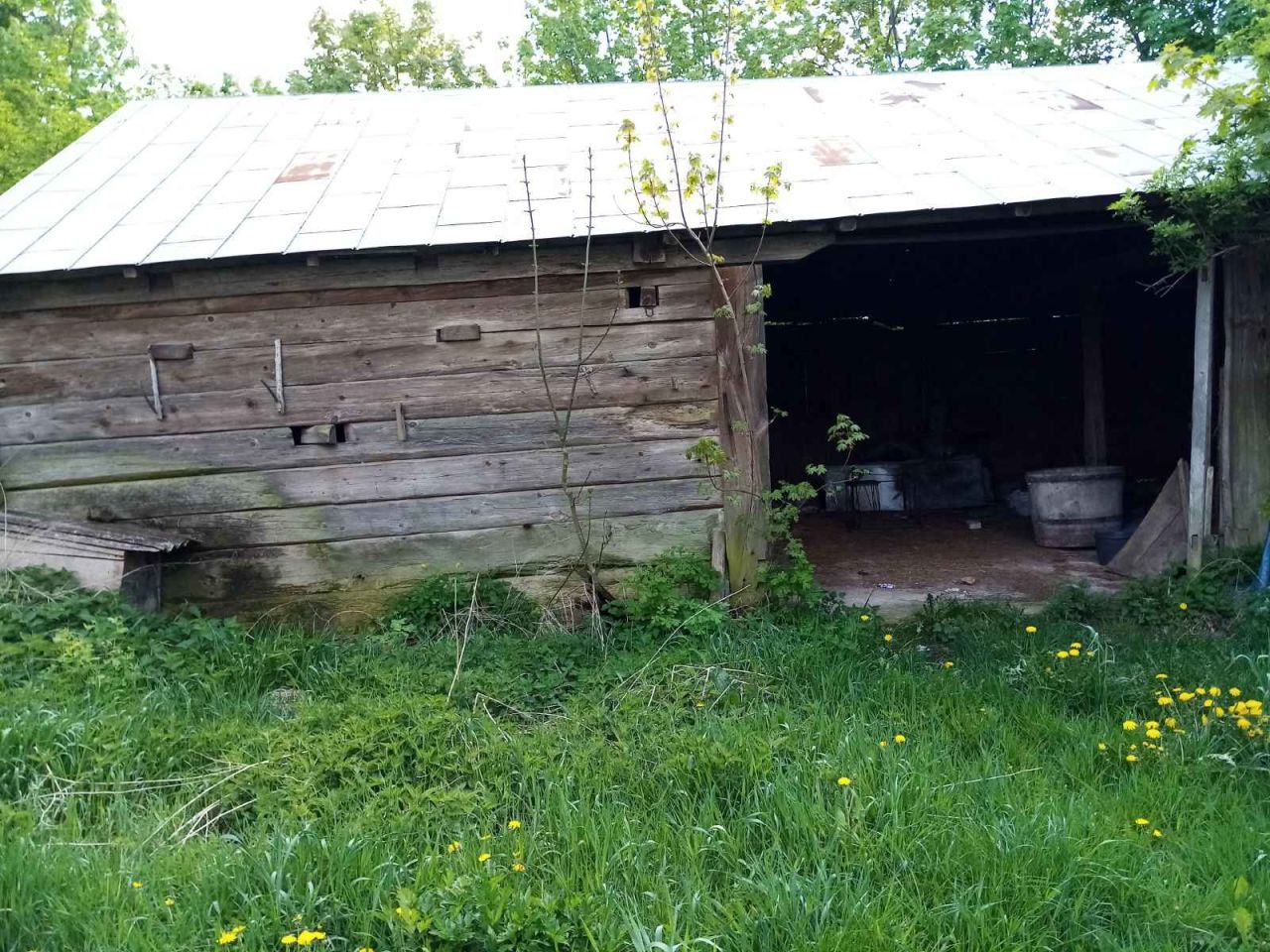 Działka rolno-budowlana Kisielsk. Zdjęcie 6